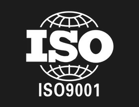 实施ISO9000族标准